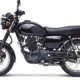 Kawasaki W175 | Precio y imágenes